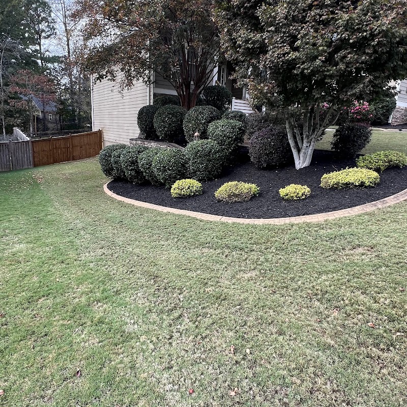 Mulch bed with trimmed boxwood shrubs by Pena Lawn Services